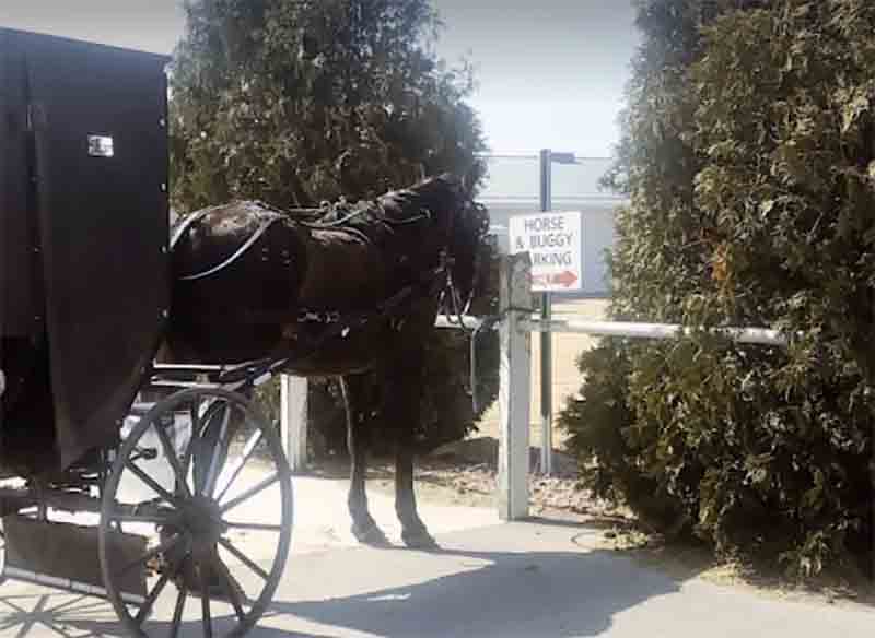 Mishler’s Country Store Amish Charm
