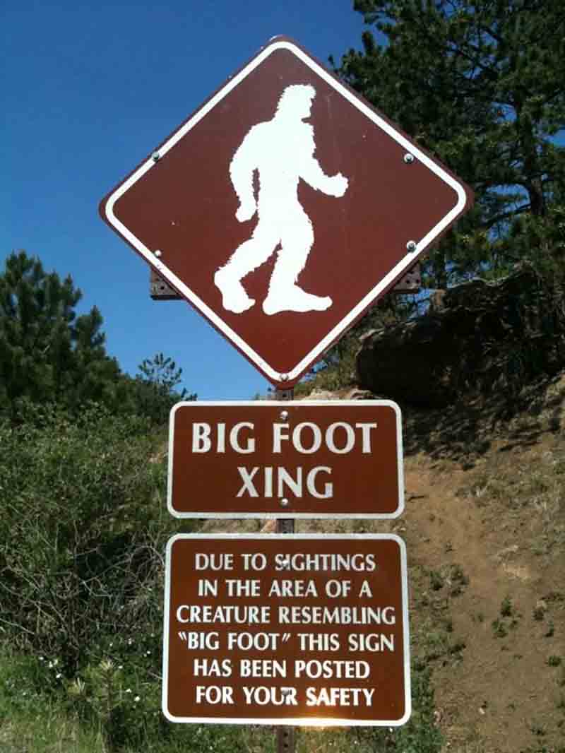 Bigfoot in Wisconsin
