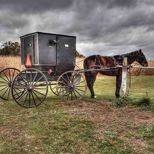 Amish Wisconsin Dalton Kingston settlements