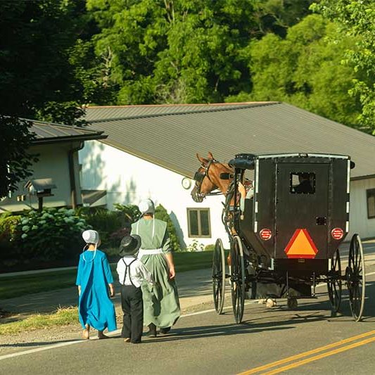 What is the culture of Amish Settlements?
