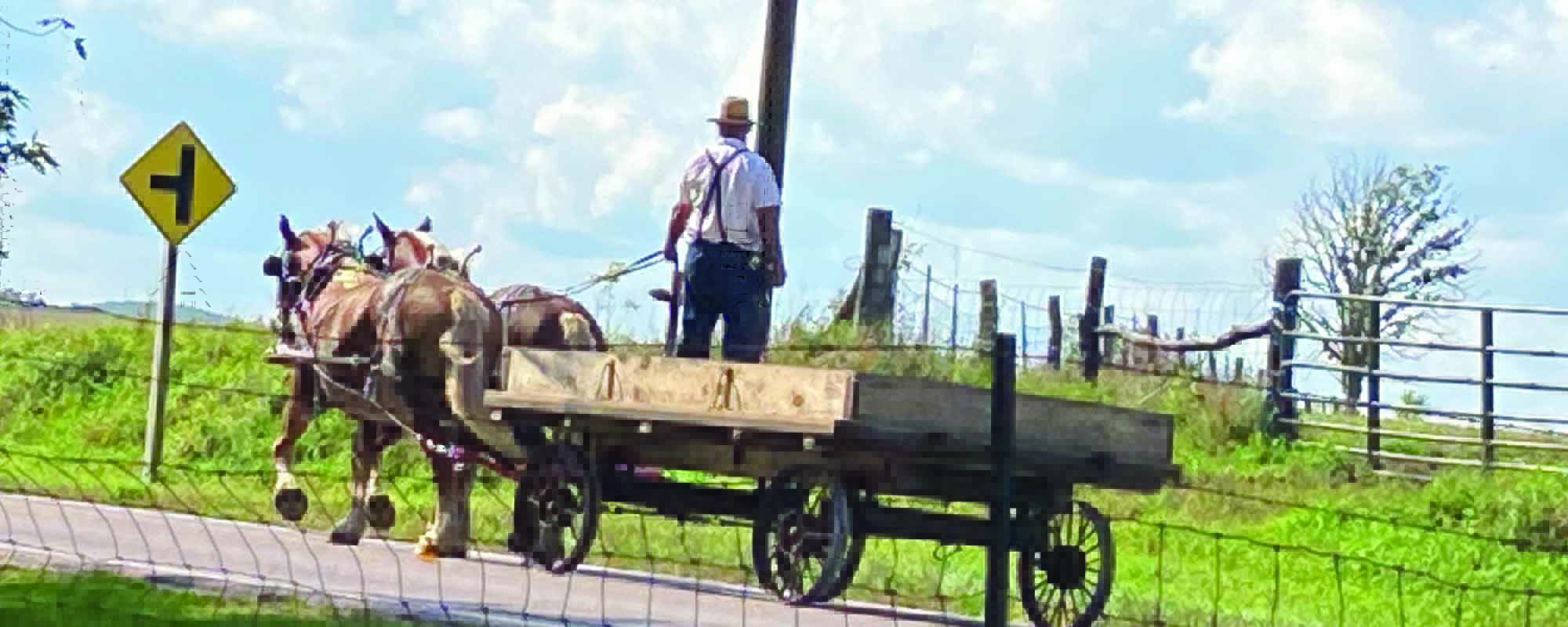 Wisconsin Amish Dalton Kingston Settlements
