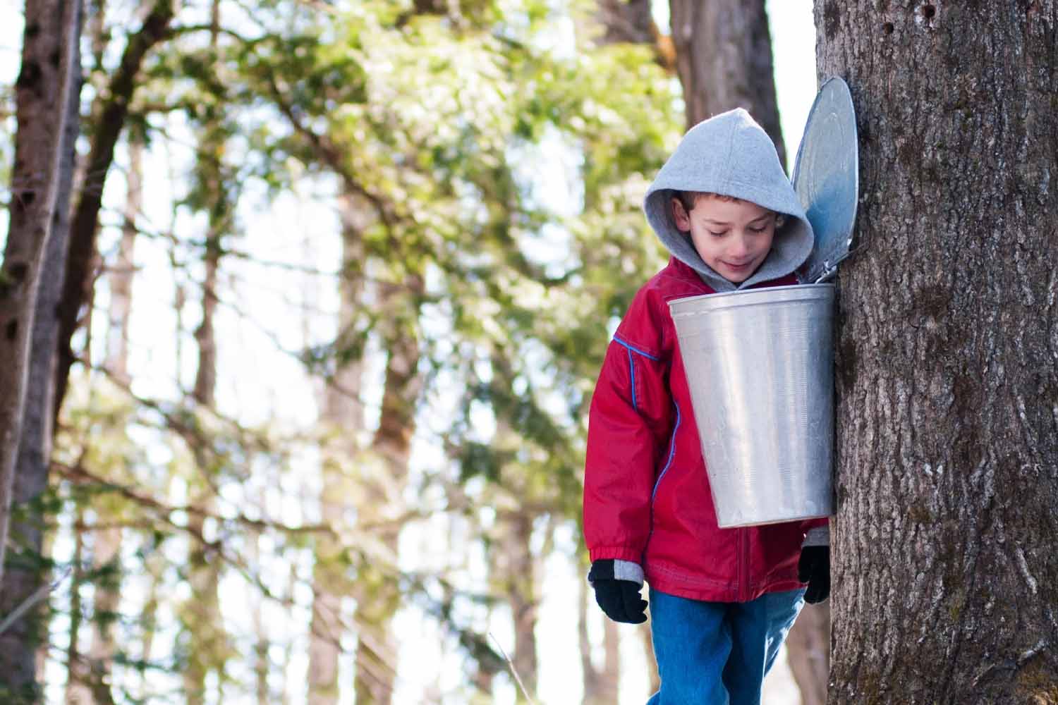 Wisconsin Maple Syrup Festivals are indeed a sweet time