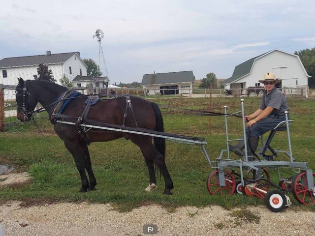 Amish Country Charm, Adeline’s Weekday Stay Edition