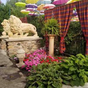 Adeline's House of Cool Umbrella Garden