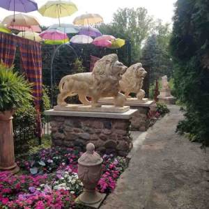 Adeline's House of Cool Umbrella Garden