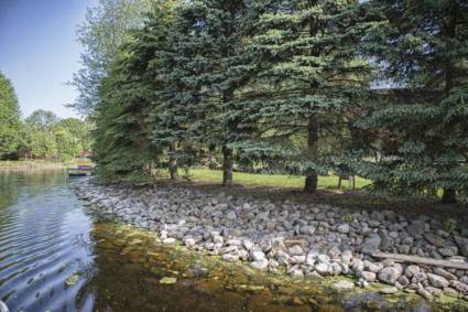 Adeline's House of Cool