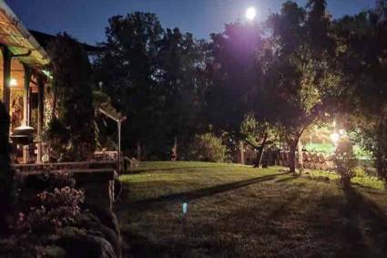 Adeline's House of Cool