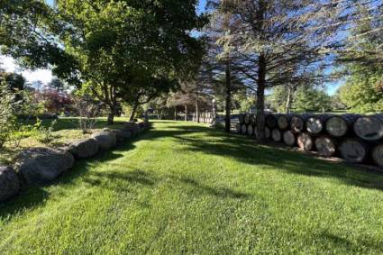 Adeline's House of Cool