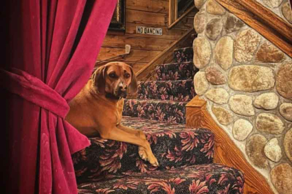 Adeline's House of Cool