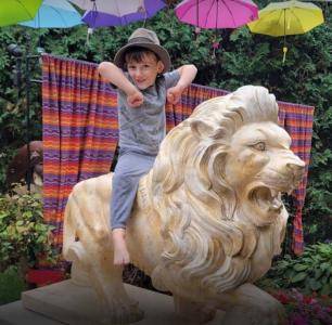 Adeline's House of Cool