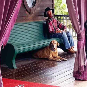 Adeline's House of Cool