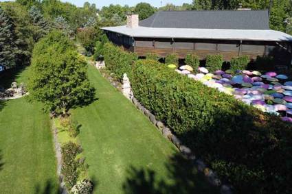Adeline's House of Cool Umbrella Garden